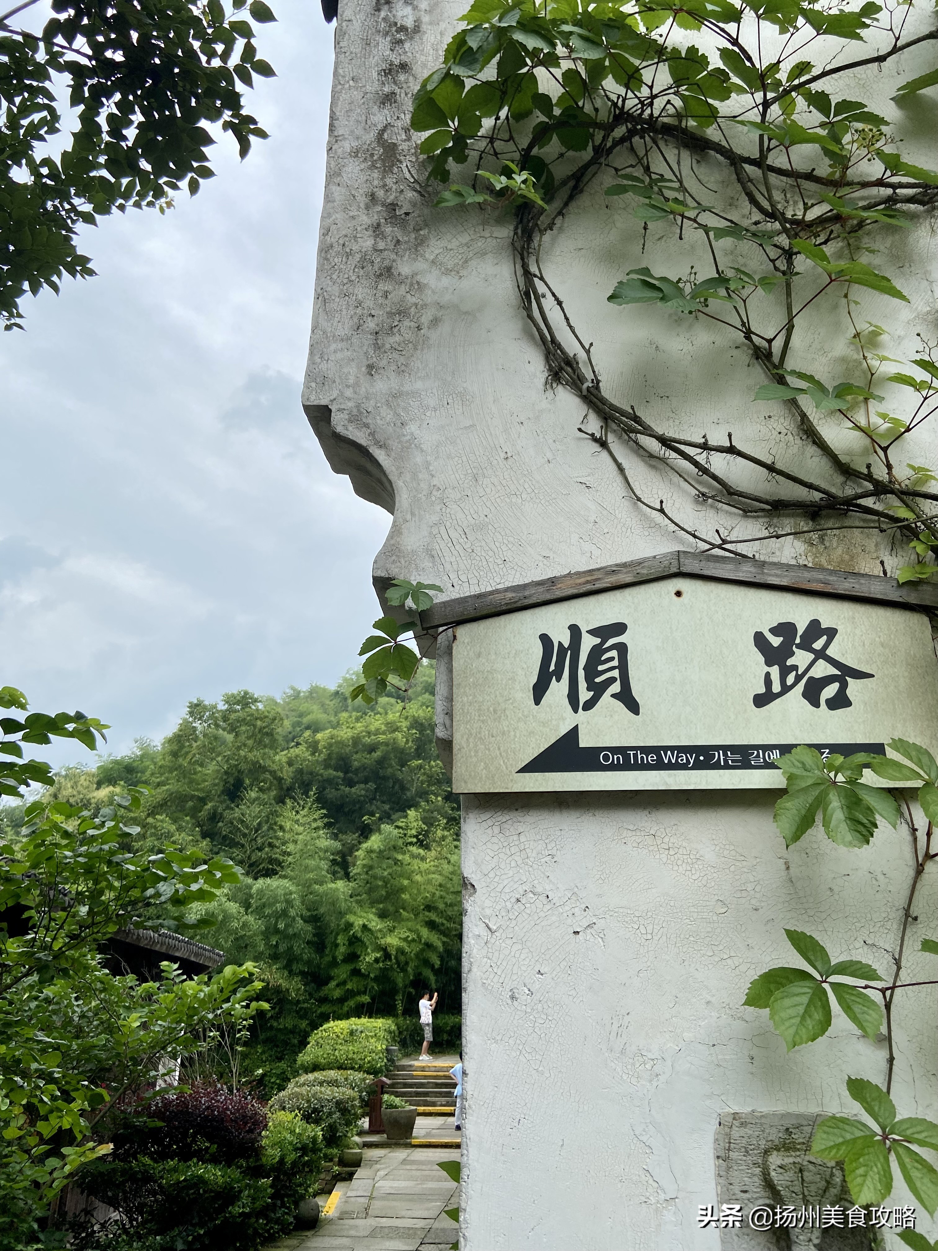 天目湖南山竹海附近游玩,常州天目湖南山竹海免费