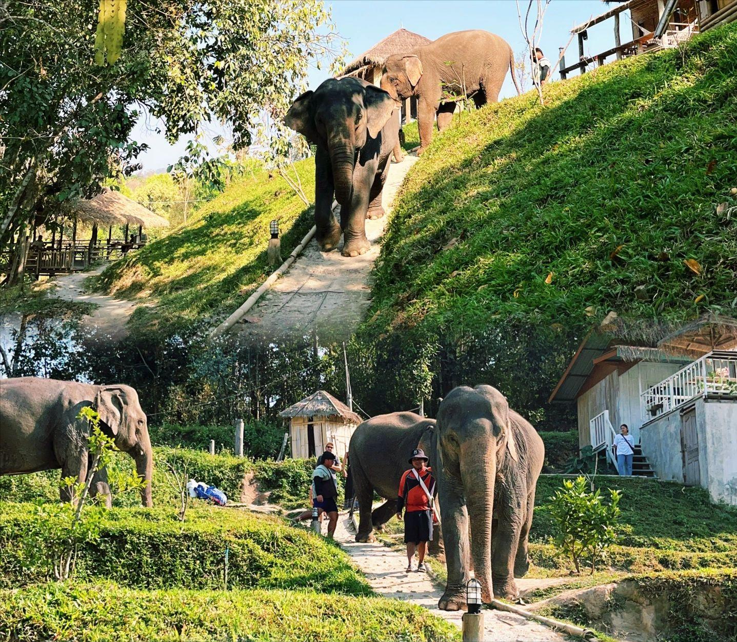 泰国旅游超详细攻略,泰国旅游攻略详细讲解