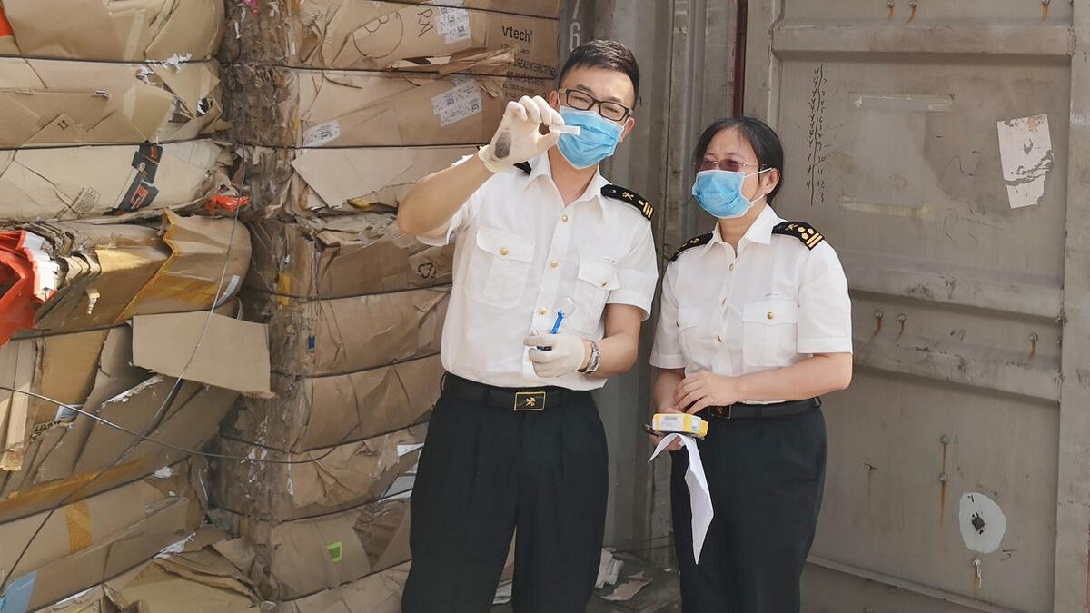 黑寡妇蜘蛛海关查获,截获黑寡妇蜘蛛