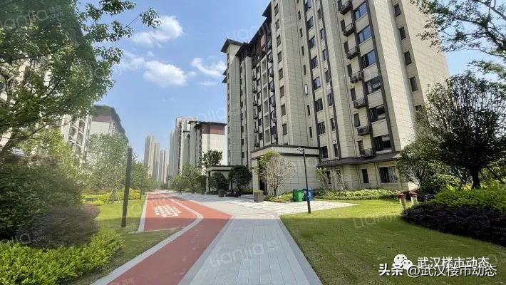 忍无可忍！武汉又一批小区要换物业！