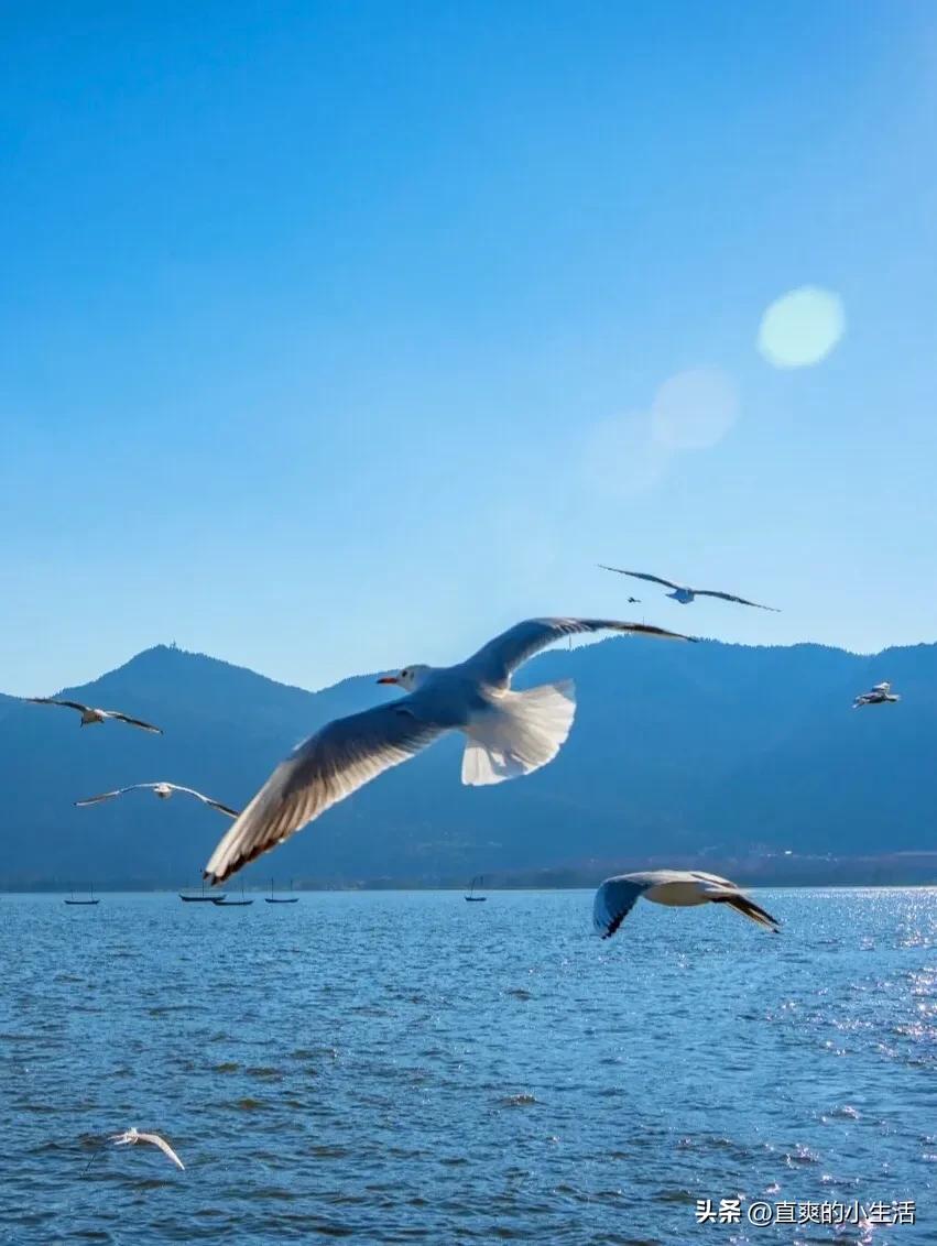 昆明作为中转站周边旅游攻略,昆明中转站的风景