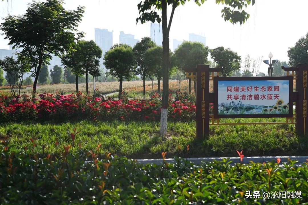 月儿湾跳舞音乐,月儿湾公园跳舞