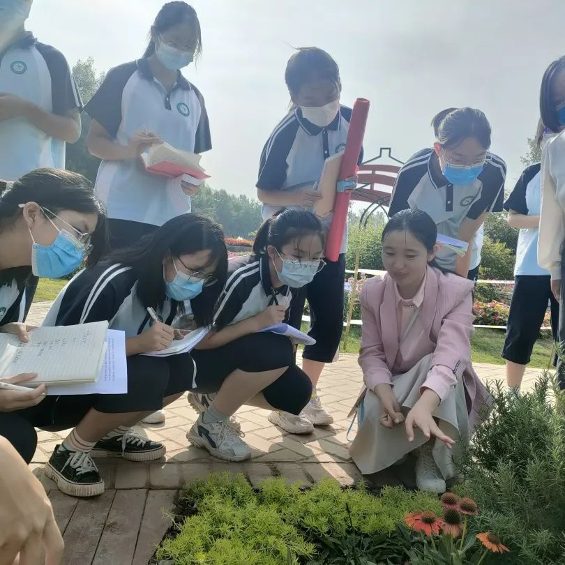 洛龙区十二中研学活动,洛阳研学实践活动