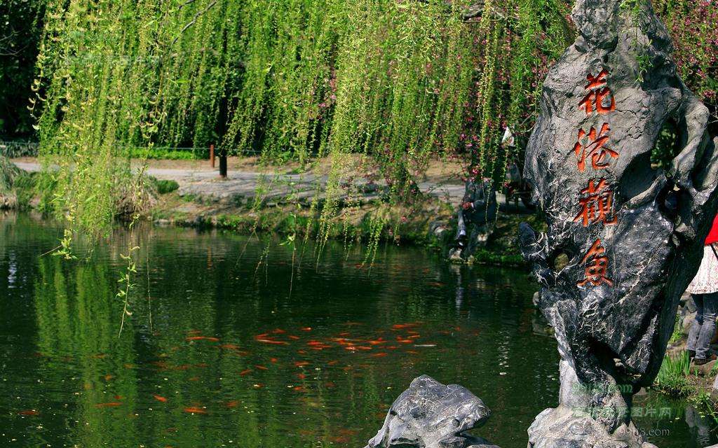 杭州西湖的主要景点有哪些,杭州西湖都有哪些景点