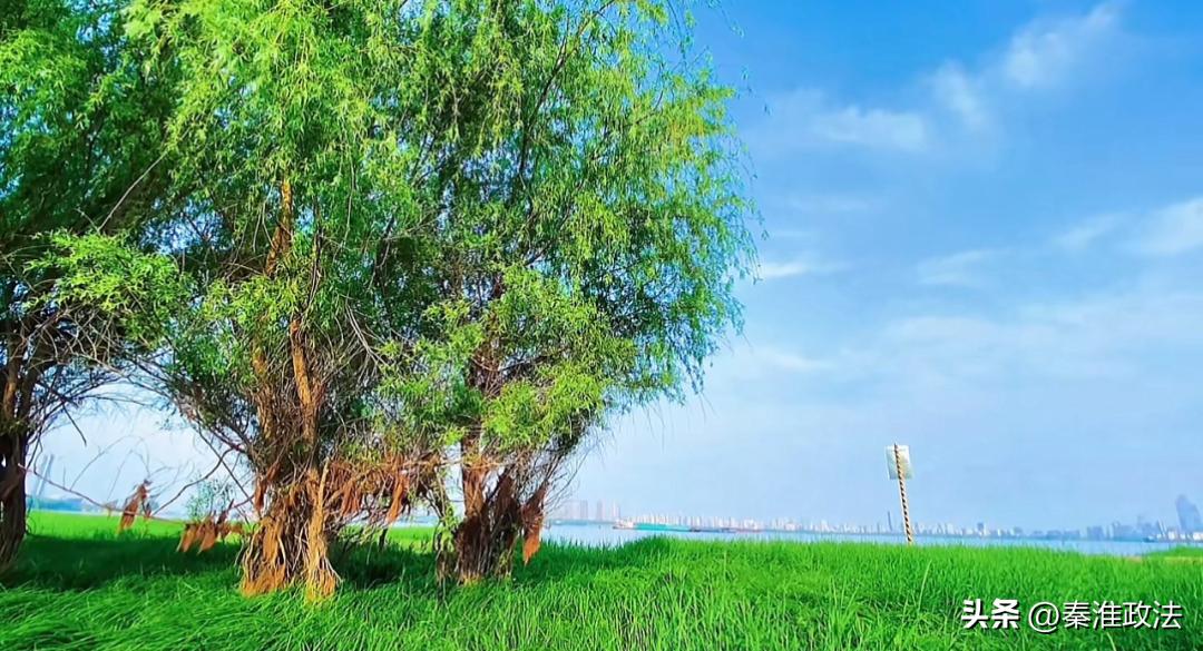 南京地铁11号线效果图,航拍南京地铁11号线旁超大公园