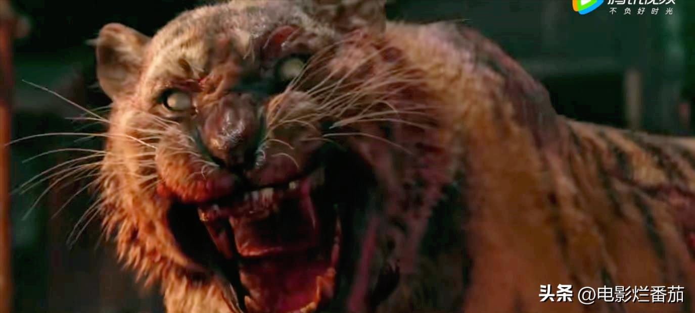 谢苗的电影为什么越来越好看了,谢苗扛起中国动作电影大旗