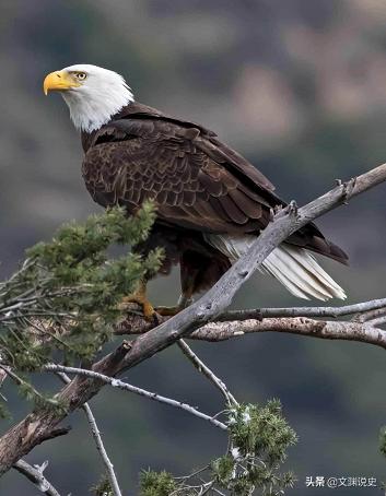 男子在臭水沟捡到一只乌龟,村民捡到乌龟马上报警