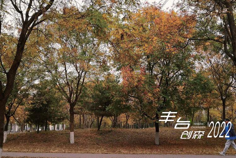 【FENG景】创森动态|天元公园——天圆地方，林间休闲