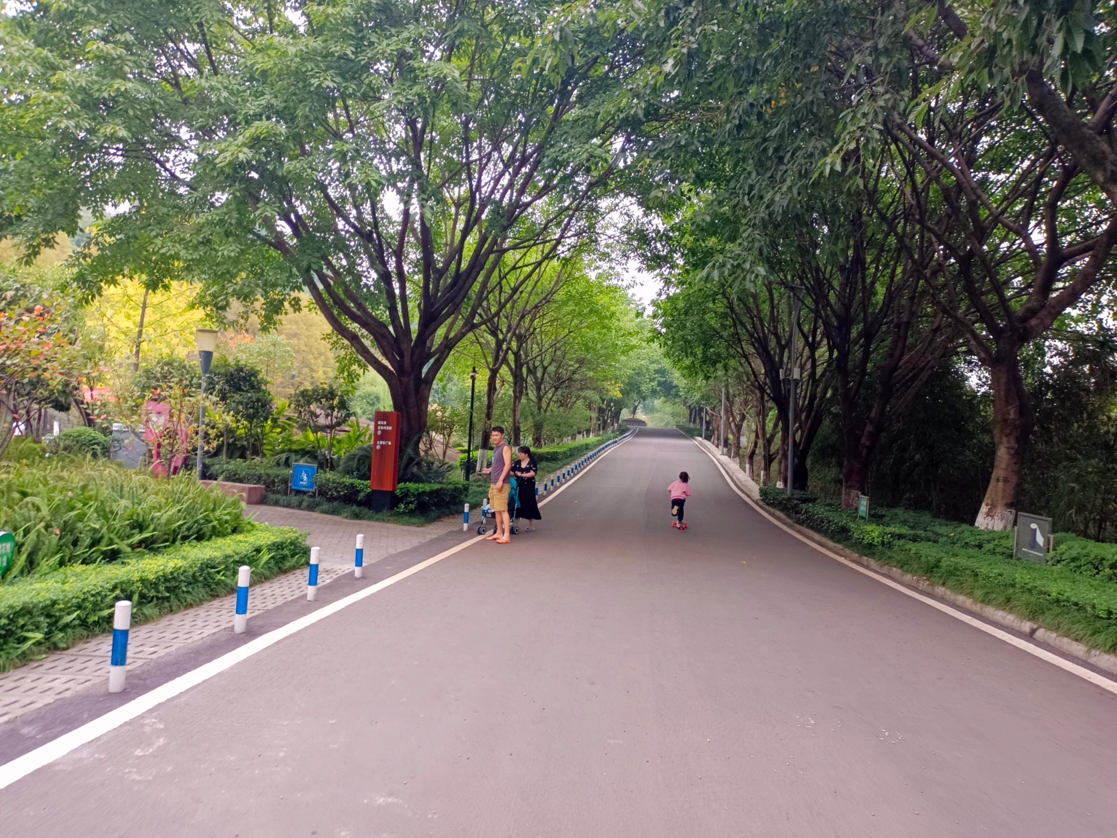 五菱星驰能在二环跑吗,五菱星驰进无人区