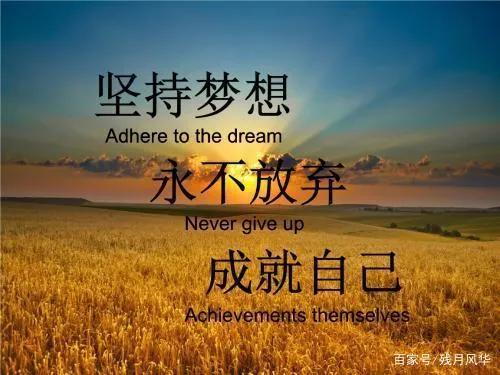 今天能看到今天的收益吗,记录今天的收益