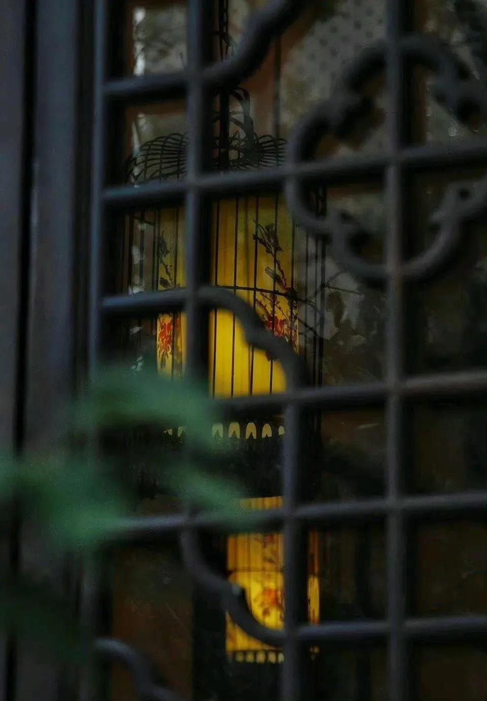 静谧时光历经沧桑,走过半生光阴