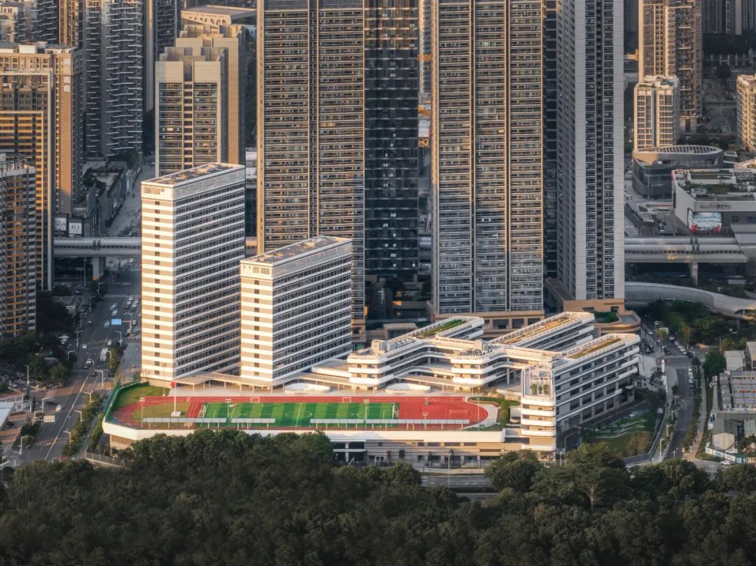 深圳格致中学游园会,深圳市格致中学理念