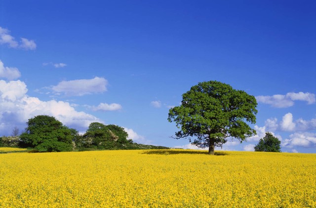 民间纪实故事｜女孩与健身男两天上床半月同居染性病，律师说：该