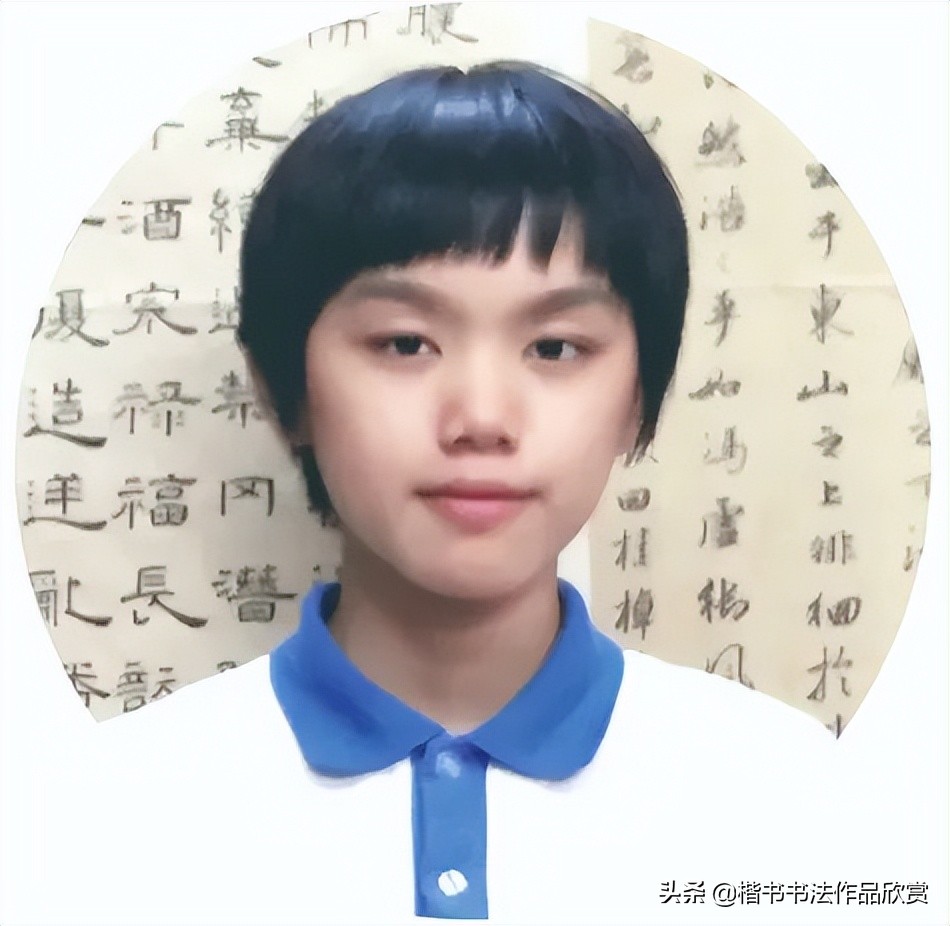 全国硬笔书法大赛作品集锦,全国首届硬笔书法大赛特等奖作品