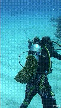 搞笑段子逗女朋友开心,搞笑段子专治不开心笑死人