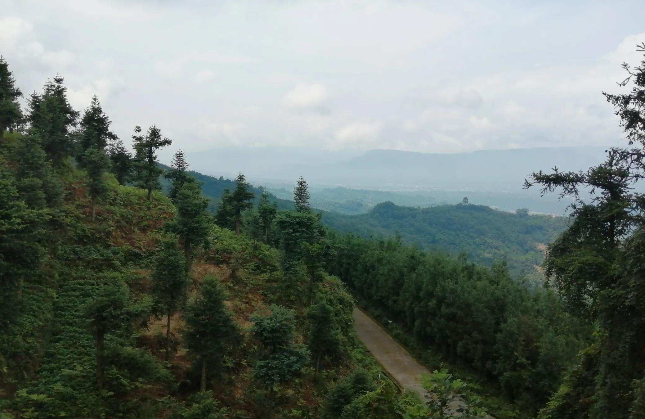 三昧水忏女声读诵上中下,三昧水忏唱诵