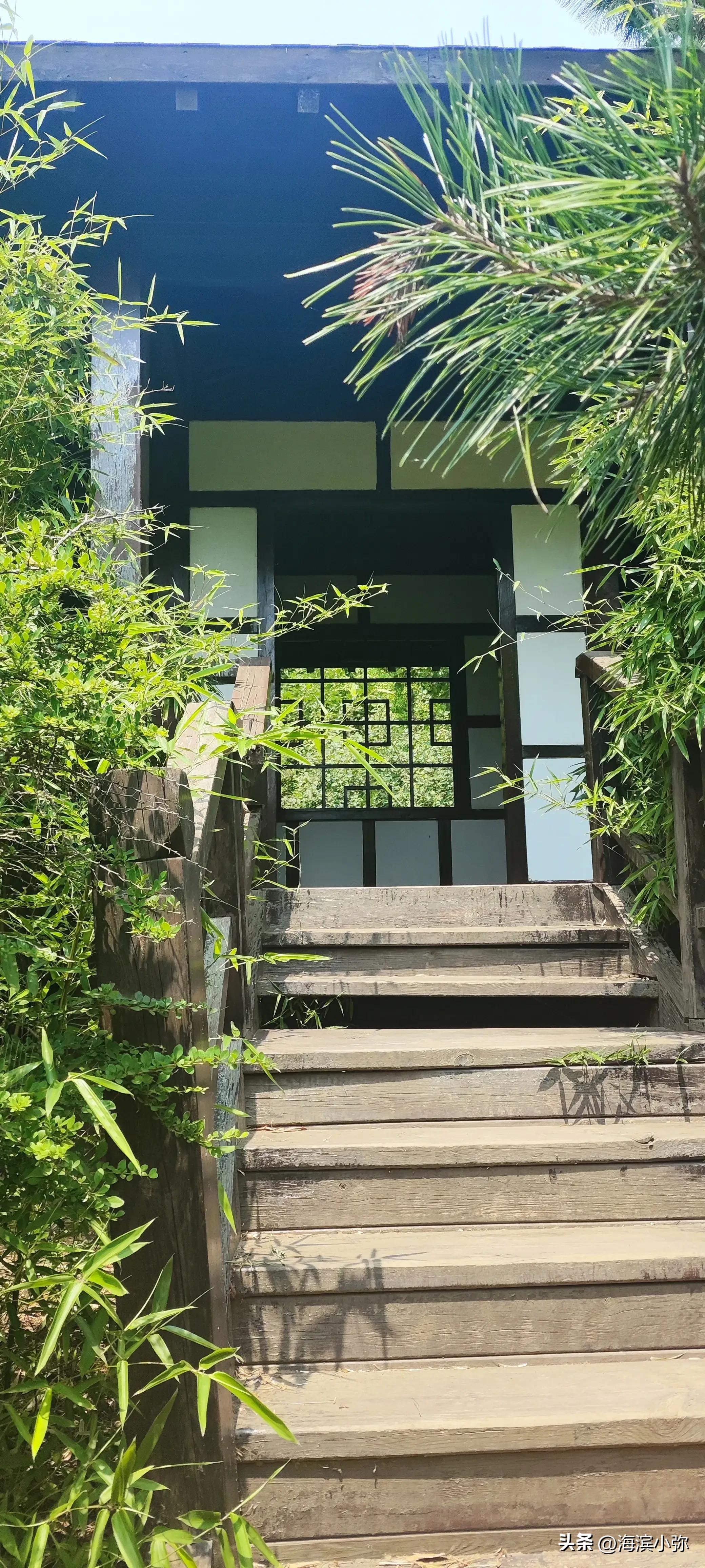 亲身徒步探访东海公园滨海路全纪录（二）