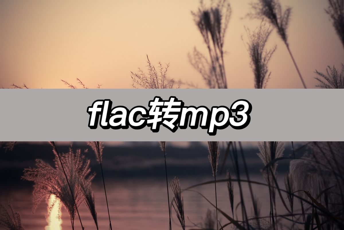 flac文件怎样转为mp3在线转换,如何把flac音频转换成mp3格式