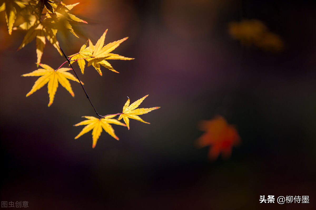 照片拍出来难看怎么修图,照片不能瞎拍