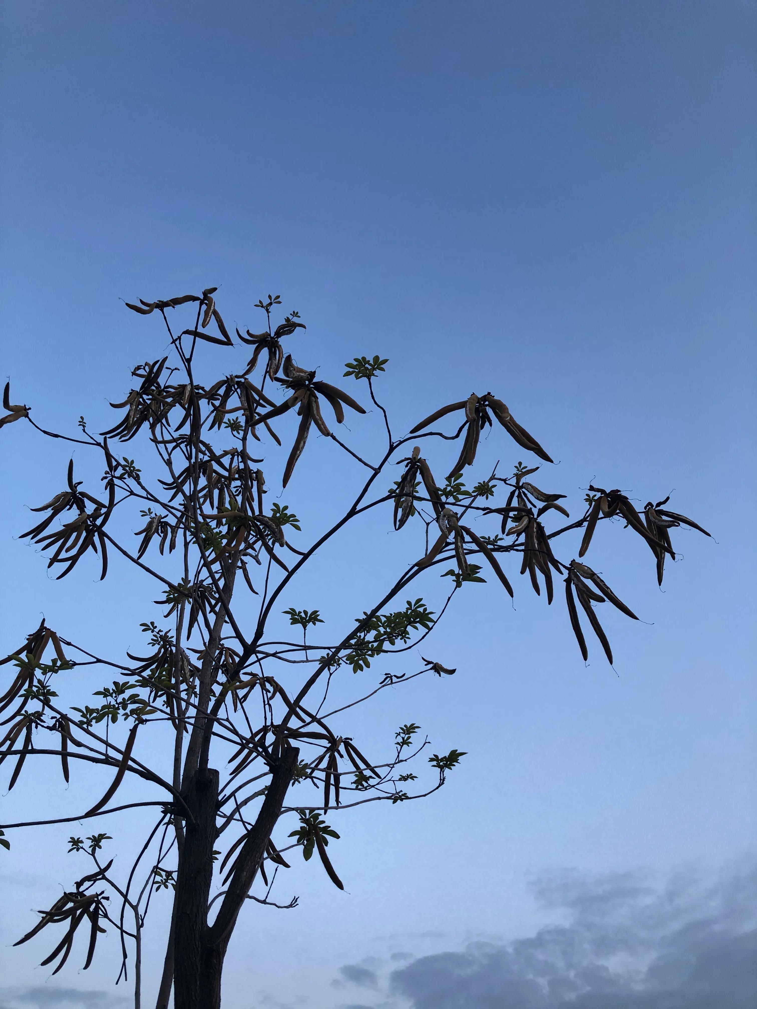 让创意落地,如何让你的创意更有黏性