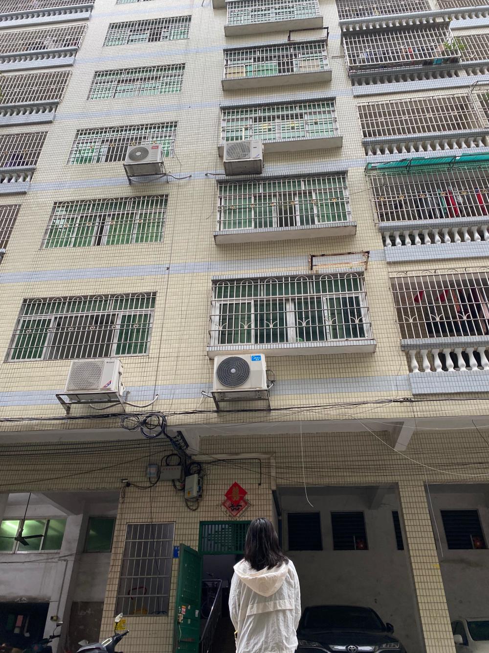 夫妻救助两条弃犬被控盗窃罪文书,喂养弃狗判刑后续