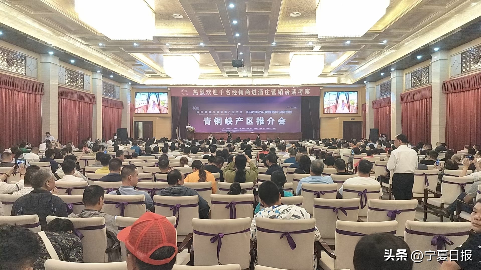 喜报！签约3000万元，宁夏青铜峡葡萄酒产区迎来近千名经销商