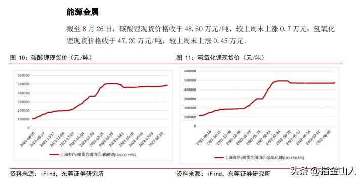 “锂”相很丰满，现实太骨感