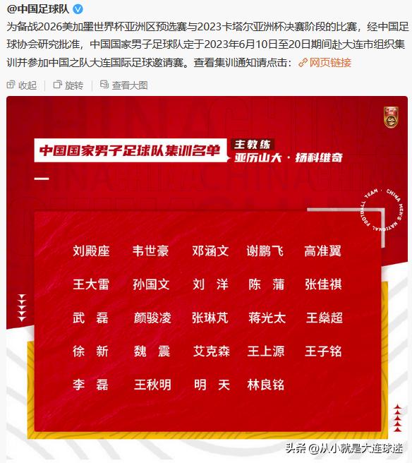 大连人队林良铭伤病情况,大连人队林良铭会去哪里