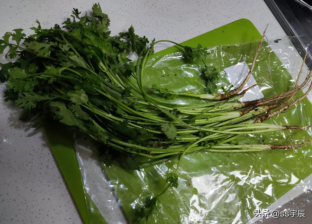 阳台种植香菜的做法,阳台种植香菜怎么施肥