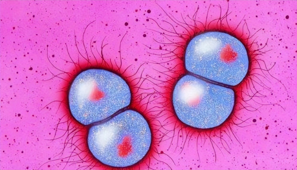 哪些疾病能通过性传播,六种疾病不能乱治