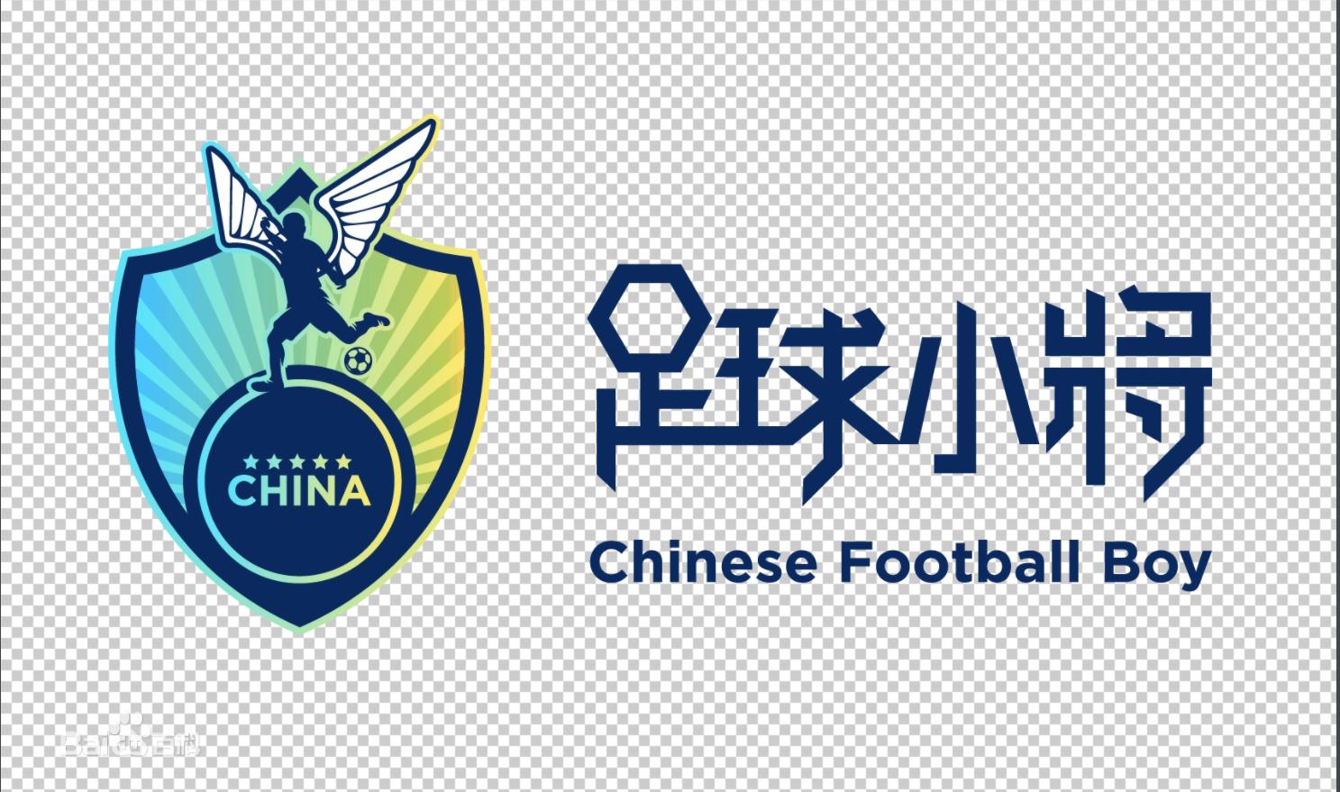 我眼中的中国董宇辉全文,中国足球小将谢晋和董路的关系