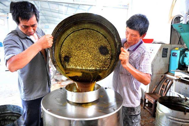 最不健康的油是什么油？大豆油吗？医生提醒：这两种油平时要少吃