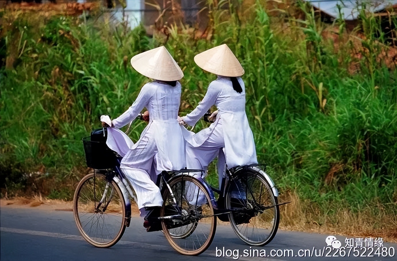 越南美女穿中国风旗袍,越南穿旗袍的民族美女