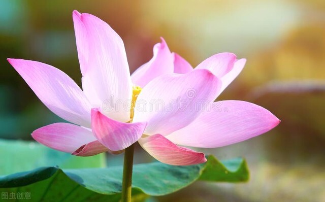 触动人心的短句文案伤感300字,2024跨年伤感文案朋友圈