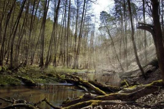 赵本山幕后金主，花百万买手机号，最终为何锒铛入狱?