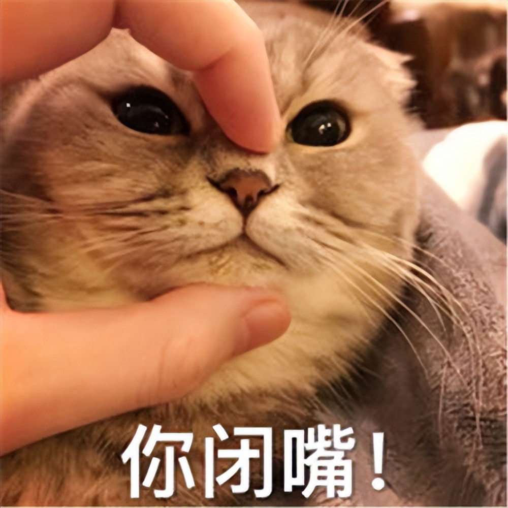 这些“坑人”的猫，你养过没？一个比一个费心