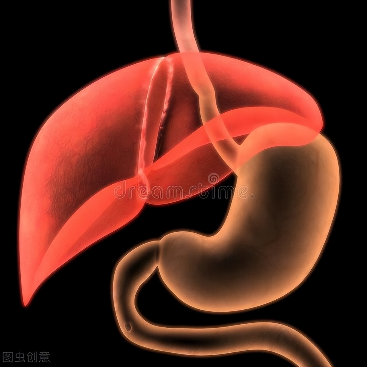 百病生于气万病从肝治,祛湿化痰越鞠丸