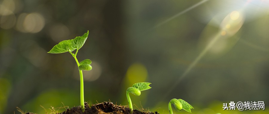 社保卡激活可以别人代理吗,怎么给孩子激活电子社保卡