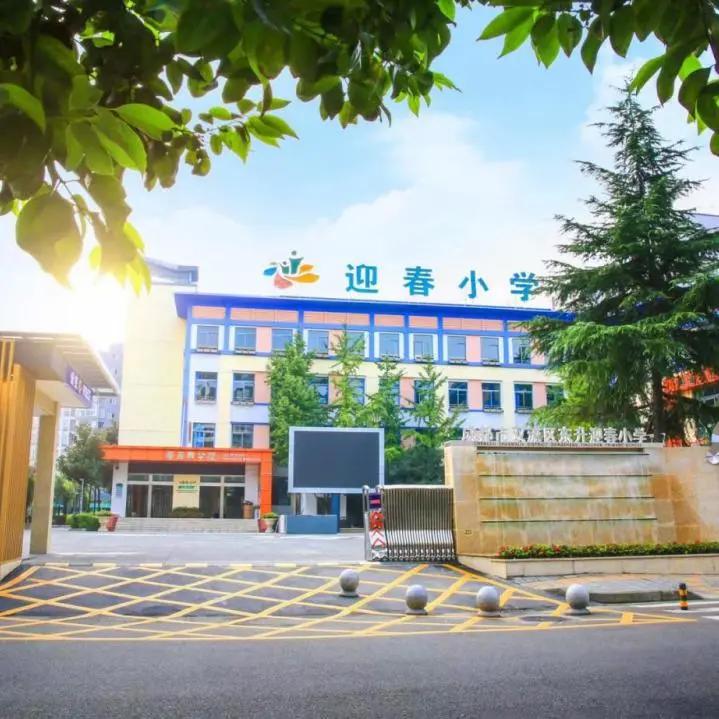 双减政策下如何开展小学科学教学,双减政策下的小学科学课堂