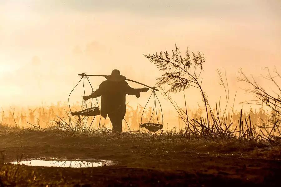 雨水哲理,雨水的好句