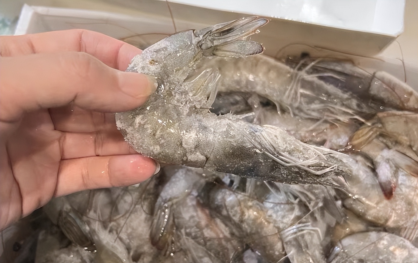 超市买的熟冻虾怎么做好吃,超市买的冻虾怎么煮