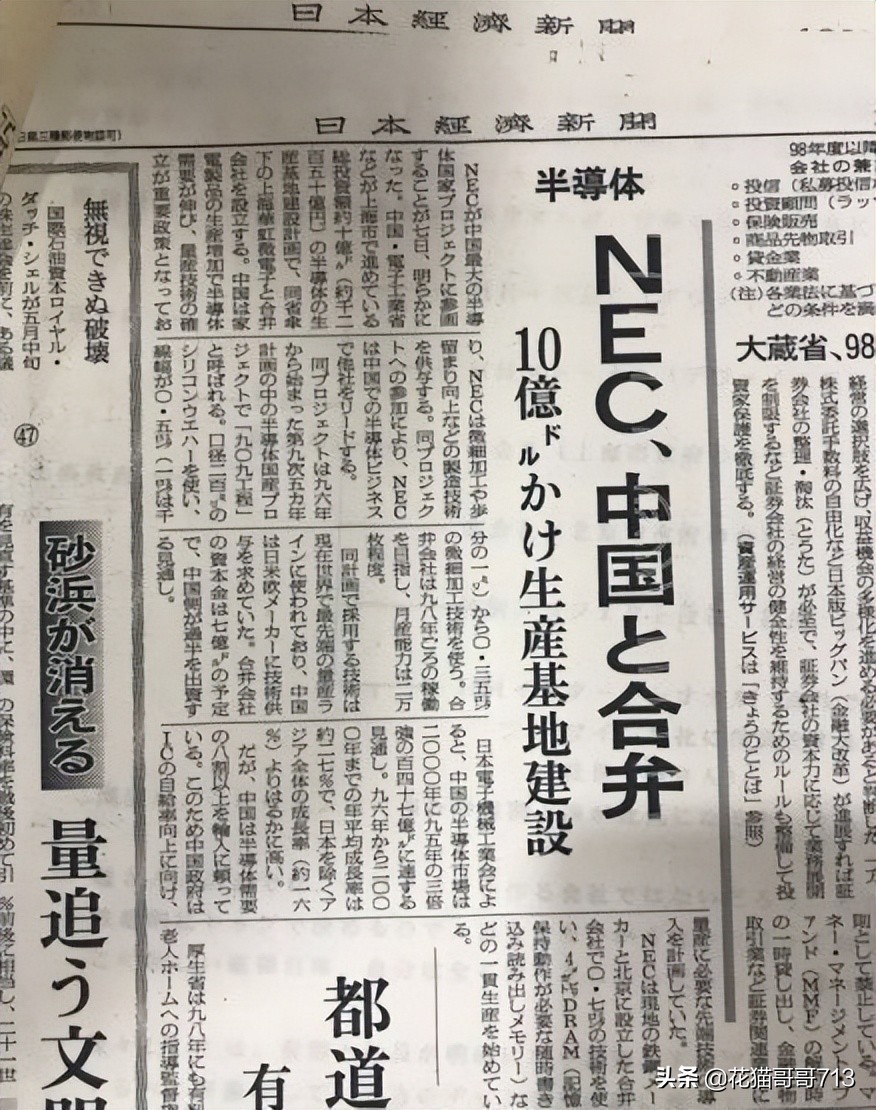 猫哥俄罗斯,猫哥在俄罗斯最新视频