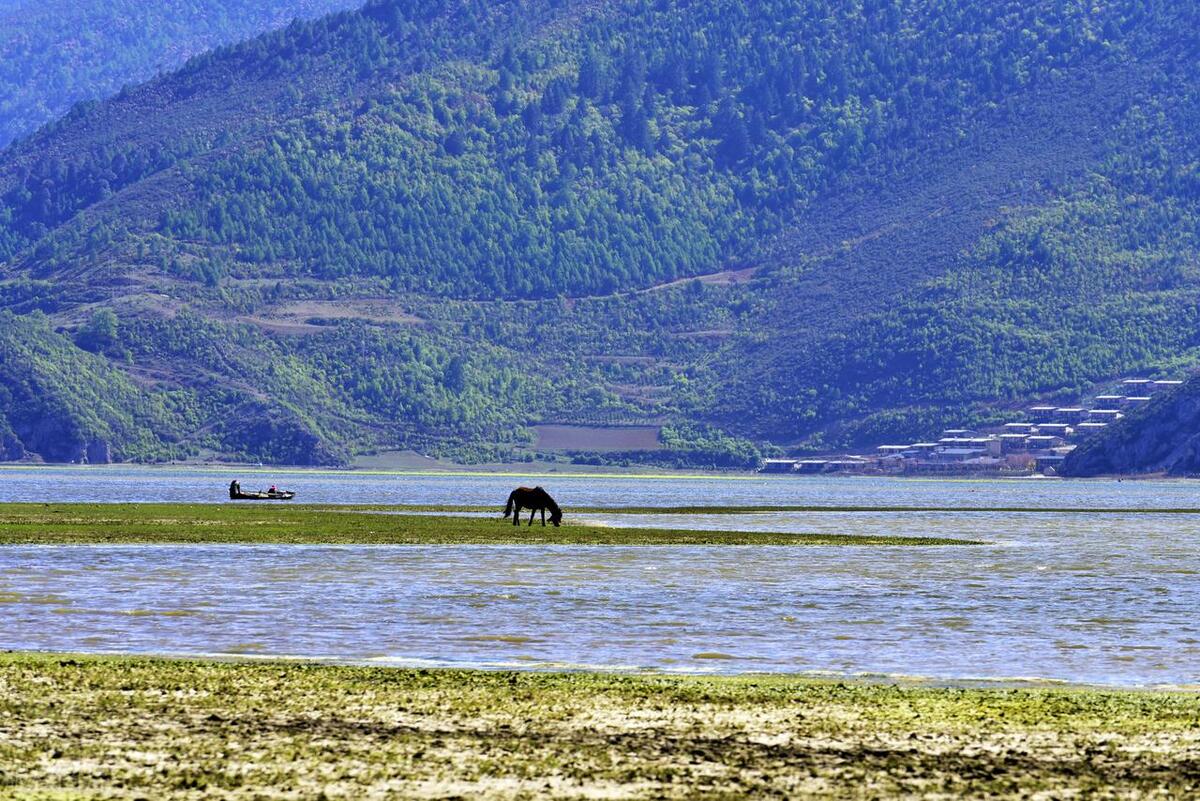 香格里拉最值得去的景点排名,香格里拉旅游必去的十大景点