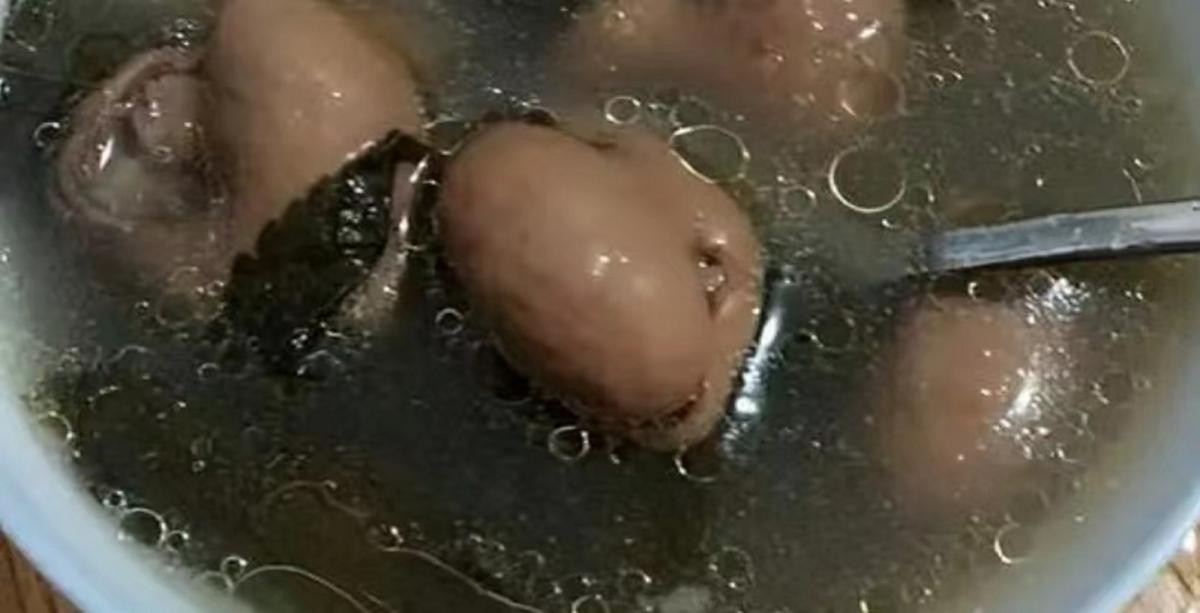 苦斋菜怎么吃效果最好,苦斋菜怎么凉拌