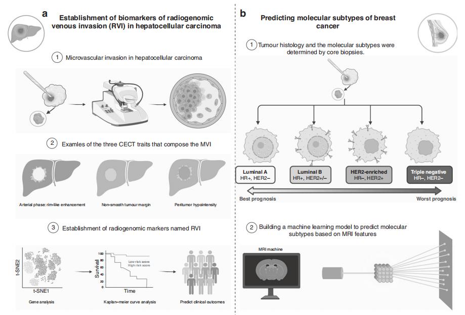 britishjournalofclinicalpharmacology,britishjournalofhematology