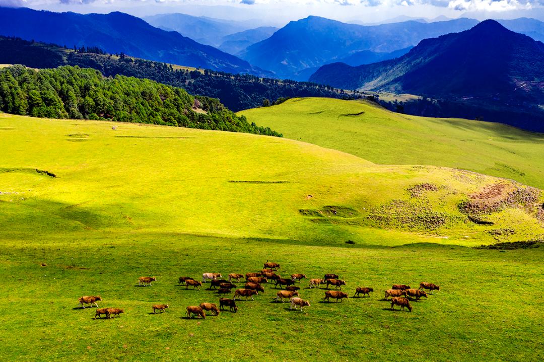 攀枝花领地阳光花城,攀枝花普达阳光康养胜地