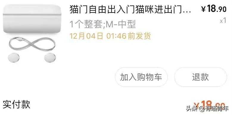 100件养猫好物,十元左右养猫好物分享