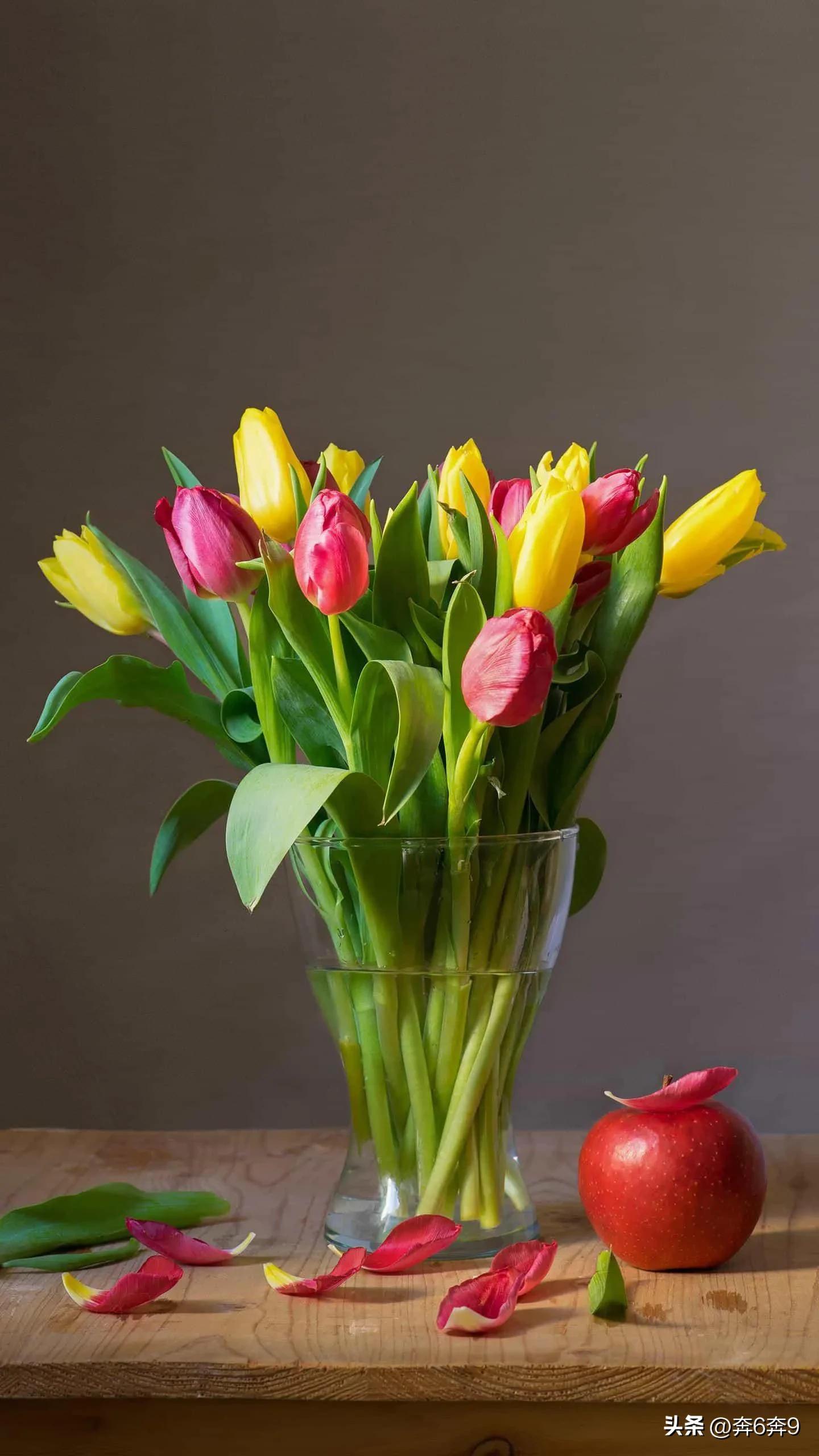 一生最爱是足球，爱我一生是母亲；感恩九旬老母，远离球场绿茵！