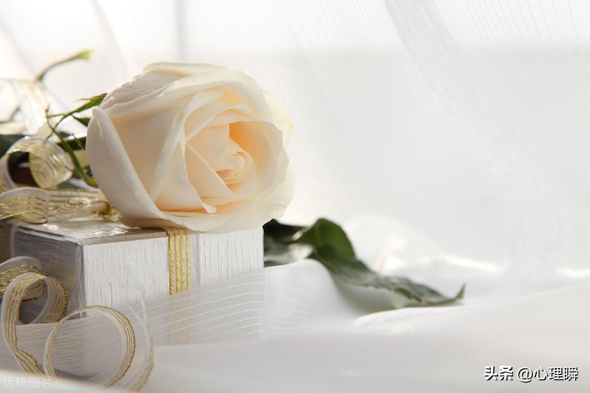 我还不想谈恋爱怎么回复,相亲女生说不想谈恋爱怎么回复