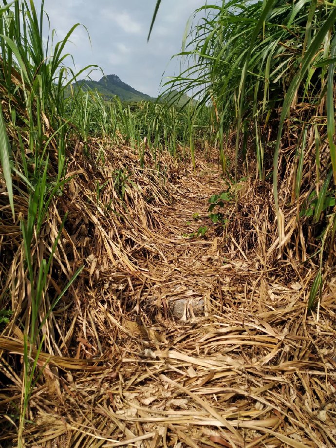 郴乐古道之水头江宜乐古道--广东省乐昌市庆云镇